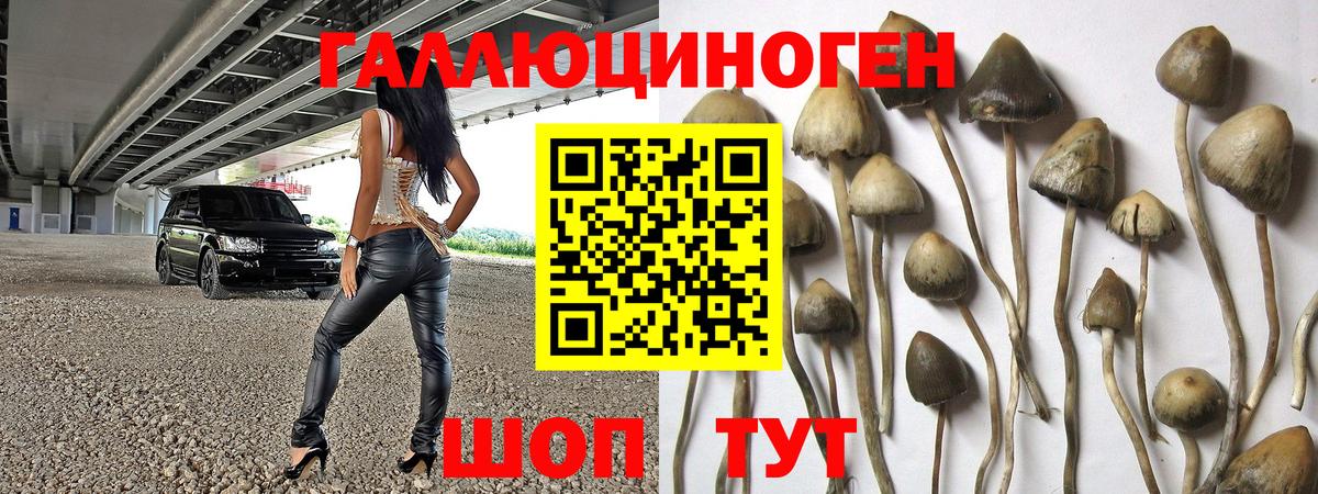 Котельники  Псилоцибиновые грибы ЛСД  Вход с VPN 